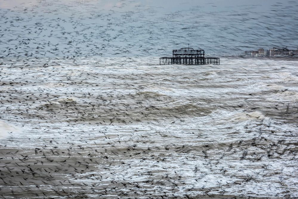 Właśnie zostali ogłoszeni zwycięzcy plebiscytu Take a View Landscape Photographer of the Year 2016. Pierwsze miejsce zdobył Matthew Cattell za zdjęcie pod tytułem „Starling Vortex, Brighton, East Sussex, England”, przedstawiające gromady ptaków, latających nad subtelnie wzburzonymi wodami.