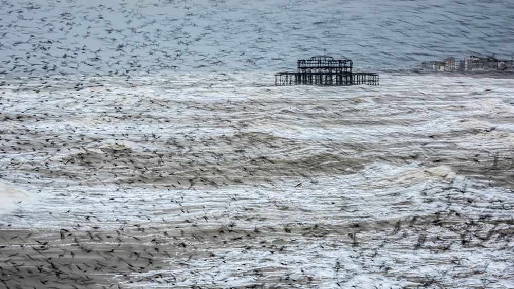 Krajobraz za 10 tys. funtów, czyli konkurs Landscape Photographer of the Year 2016 1