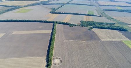 Przełom w nauce. Odkryli tajemnicę sprzed 2,7 tys. lat