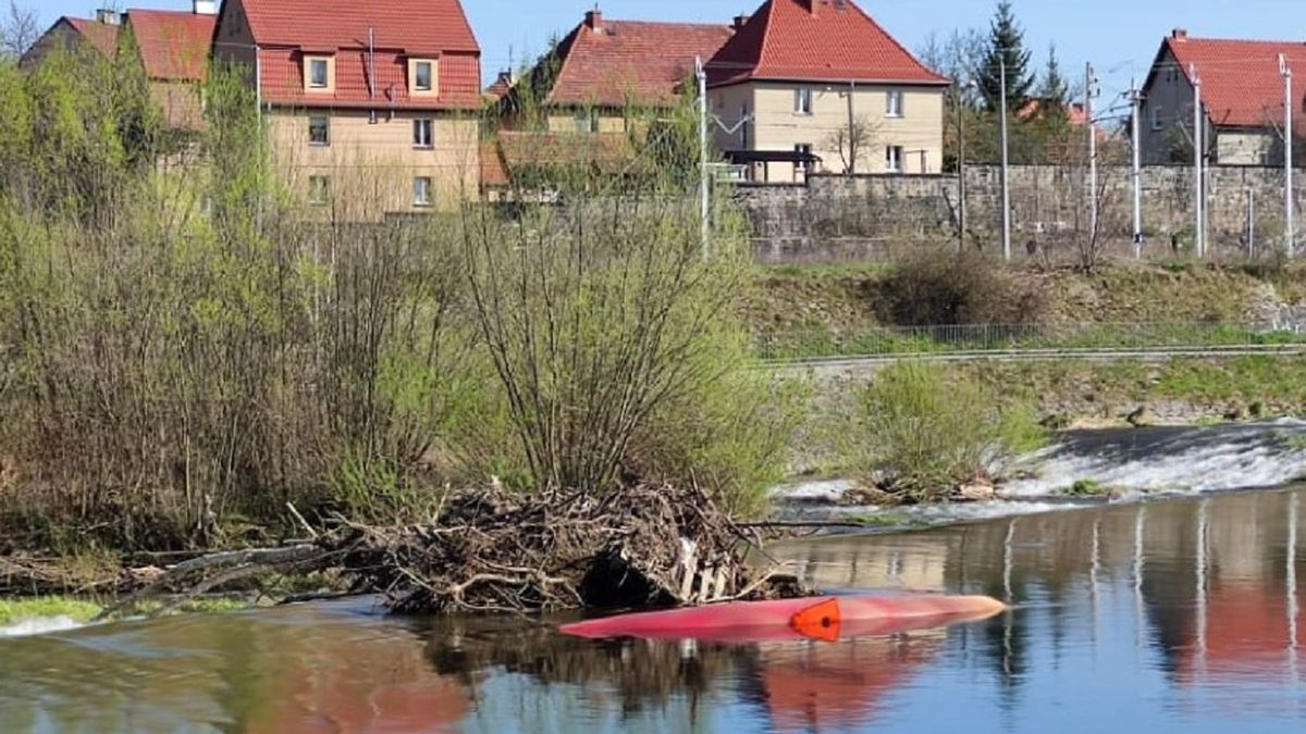 Tragedia na Nysie Kłodzkiej. Małżeństwo utonęło.