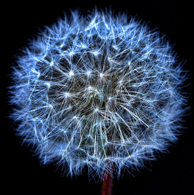 Niebieskie inspiracje fotografów [galeria] 8