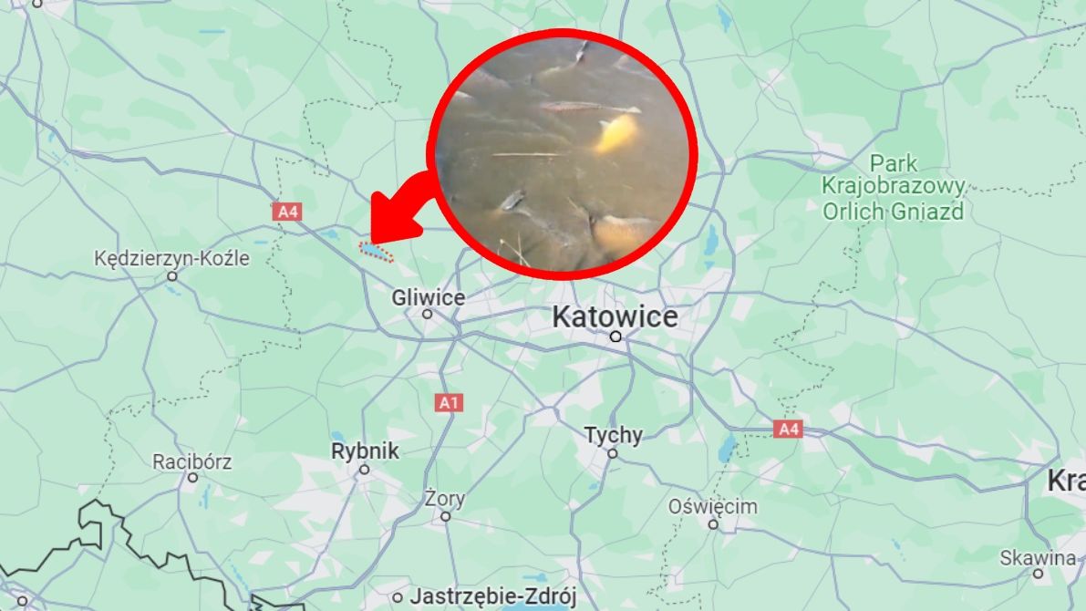 Katastrofa ekologiczna na Śląsku