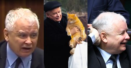 Kaczyński o protestach pod jego domem: "ATAK ODPARŁ MÓJ KOT"