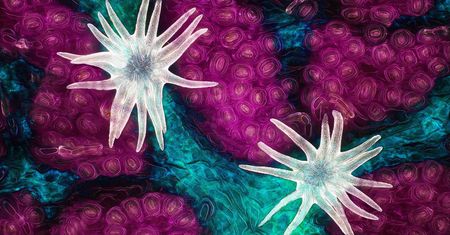 Małe jest piękne. Oto zwycięskie zdjęcia konkursu Nikon Small World 2021
