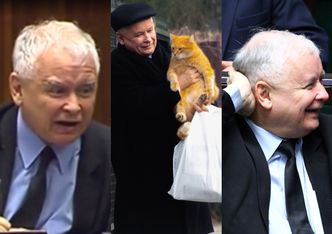 Kaczyński o protestach pod jego domem: "ATAK ODPARŁ MÓJ KOT"