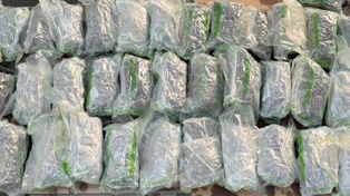 Podlaska KAS zatrzymała ponad 12,5 kg marihuany