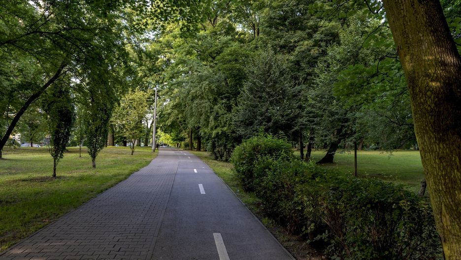 Bytom. Miasto wybuduje nowe oświetlenie.