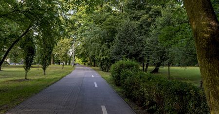Bytom. Nowe oświetlenie, ma być bezpieczniej i taniej