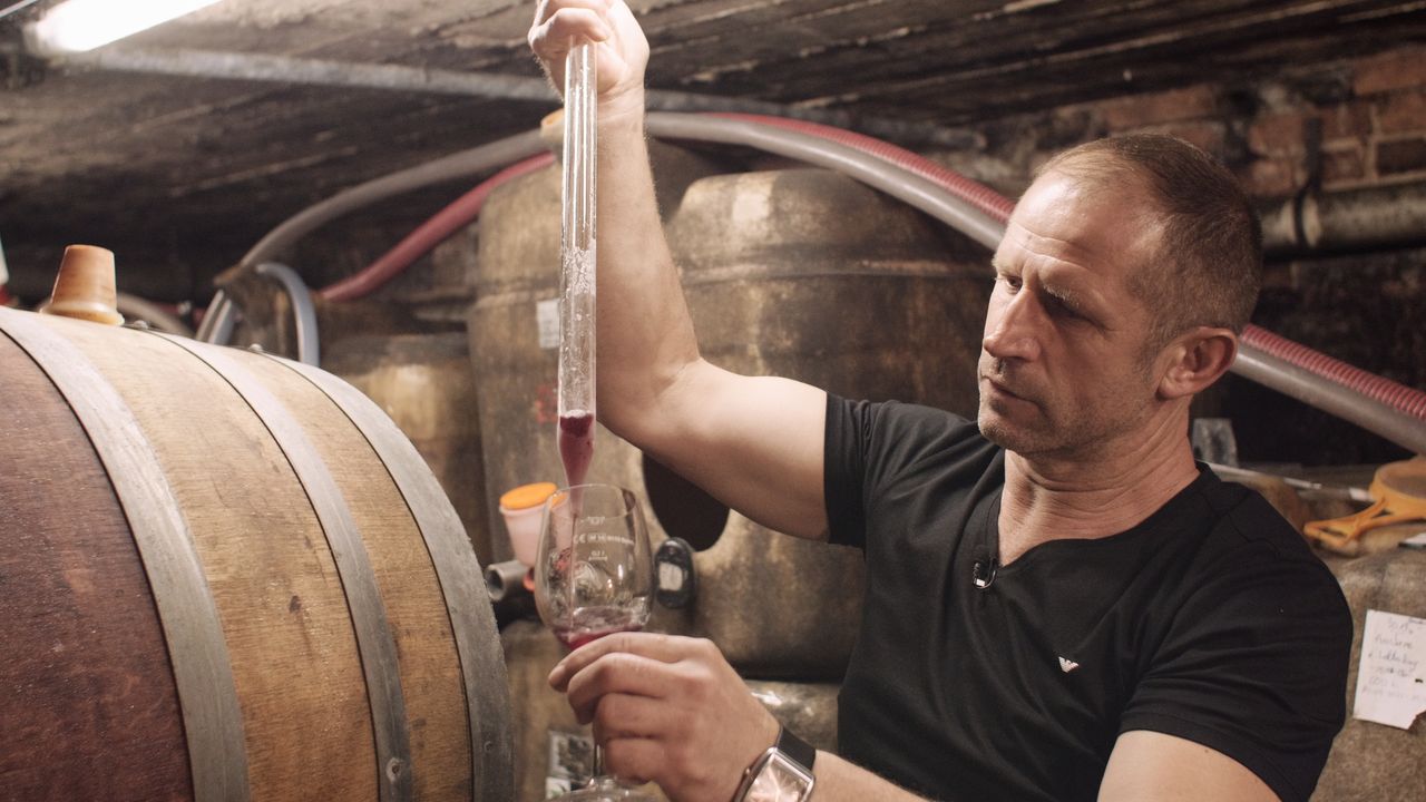 Jedyny Polak w niemieckim królestwie wina. "Niemcy mają do mnie zaufanie"