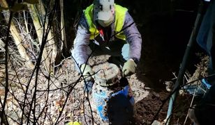 Kłodzko. Narkotyki zakopane w beczkach. Policja zapowiada zatrzymania