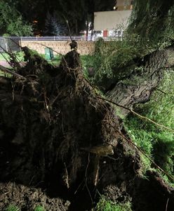 Warmińsko-mazurskie. Strażak ranny podczas usuwania skutków wichury