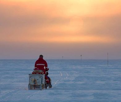 "Rok wśród pingwinów". Wycięty wyrostek, usunięte ósemki przed wyprawą na koniec świata