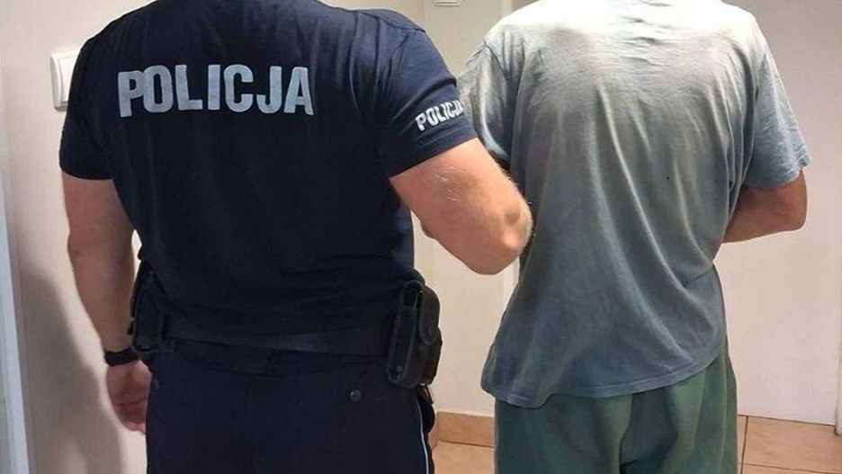 Fot. Licencjodawca