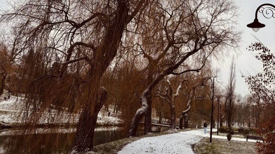 Fot. Lidia Gralikowska