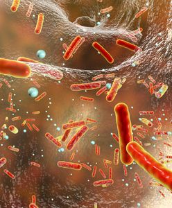 Legionella w Czechach. Eksperci: Prawdziwe liczby są wyższe od oficjalnych