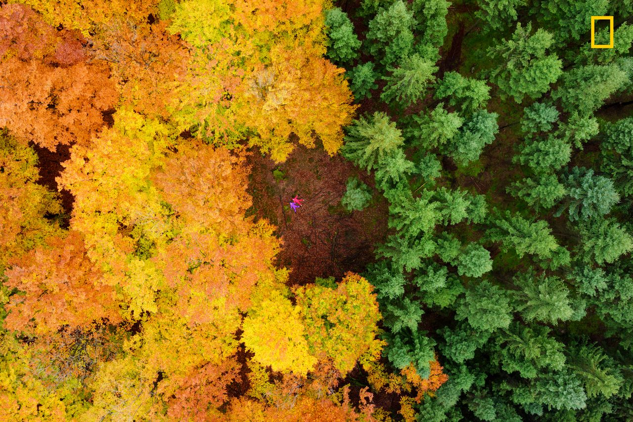 National Geographic przygotowuje wiele kilka różnych konkursów fotograficznych, ale każdy z nich jest zawsze dawką świetnych, inspirujących fotografii. Jednym z nich jest Nature Photographer of The Year.