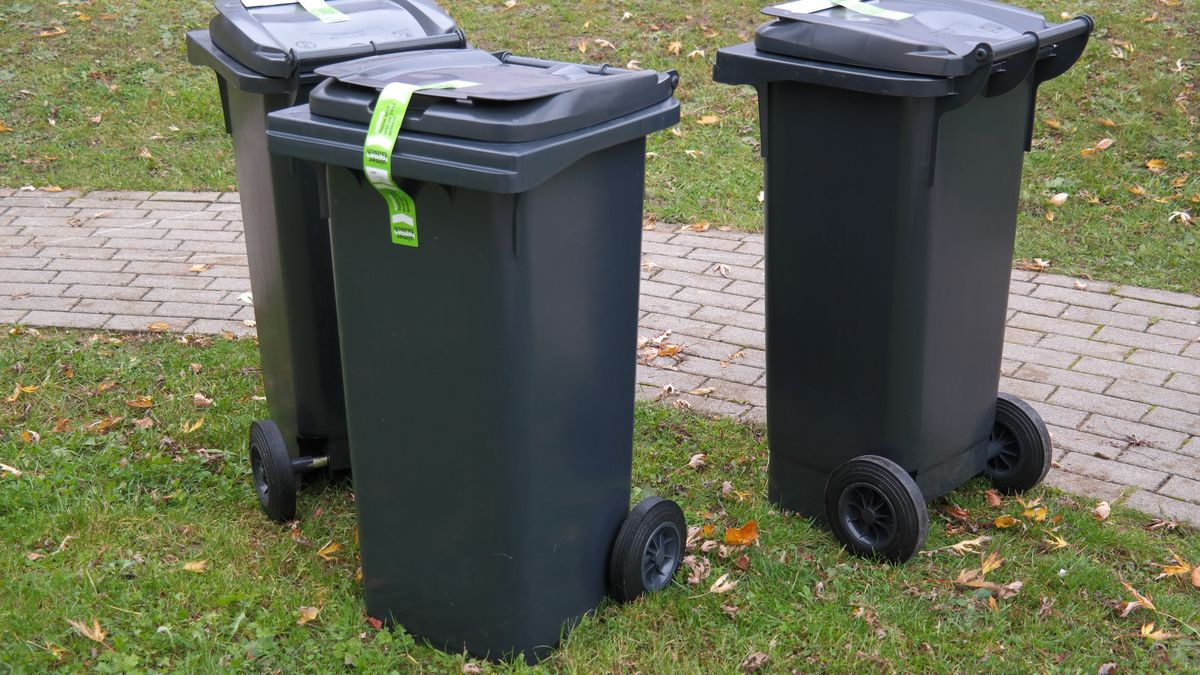 Czipowanie pojemników na śmieci w Płocku 