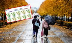 Co nas czeka w tym tygodniu w pogodzie? Na to wskazują prognozy