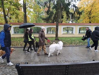 Parada Adopciaków w Białymstoku. To święto wszystkich psów, które znalazły dom