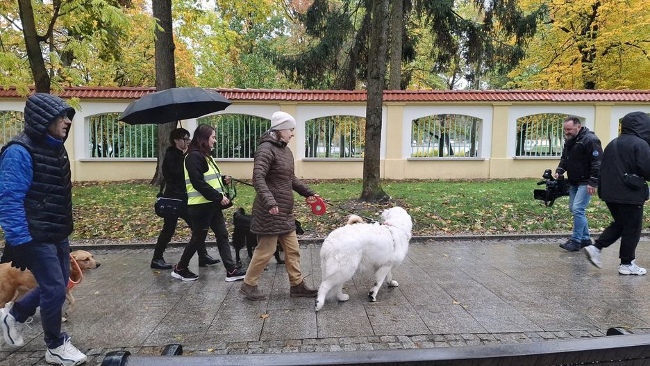 Spacer adopciaków w Białmstoku