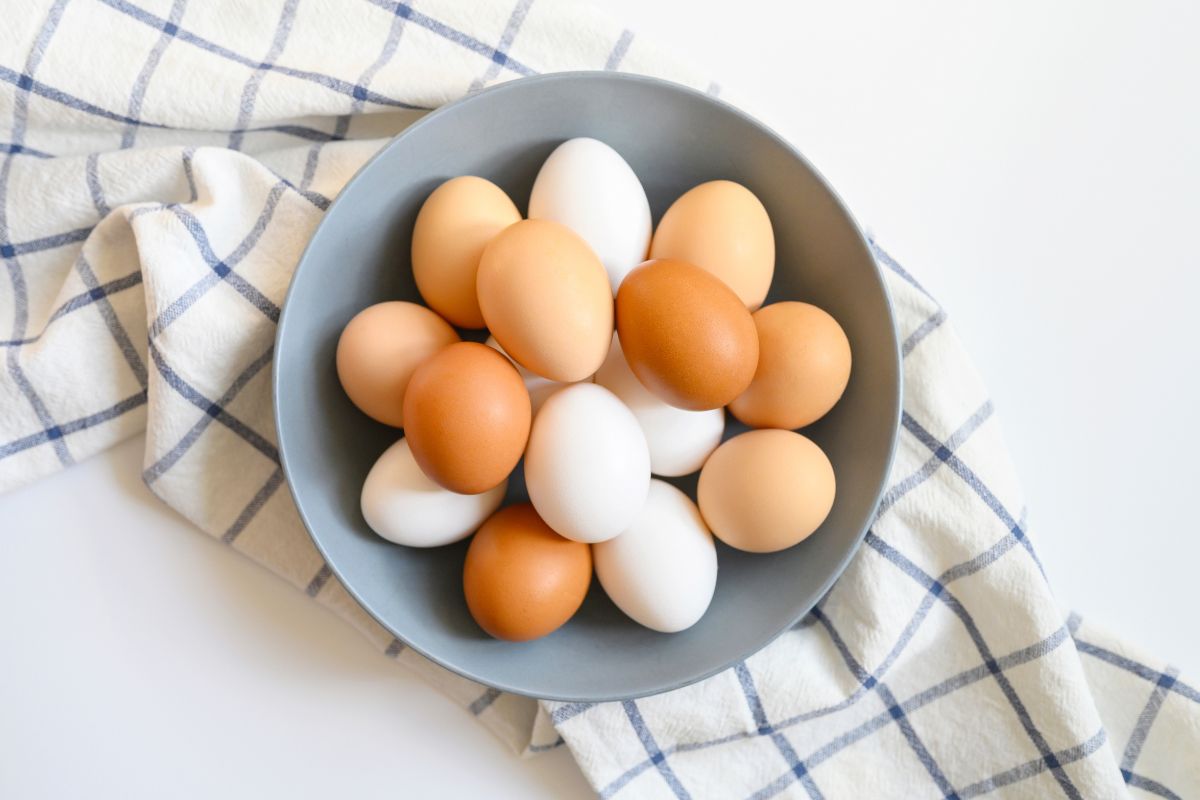 Dlaczego kurze jajka mają różne kolory?