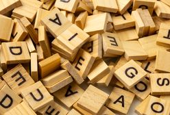 Czy znasz znaczenie tych słów? Wyjątkowo trudny test