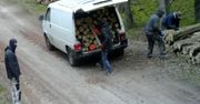 Wystarczyło kilka minut. Leśnicy pokazali zdjęcia. Wszystko się nagrało