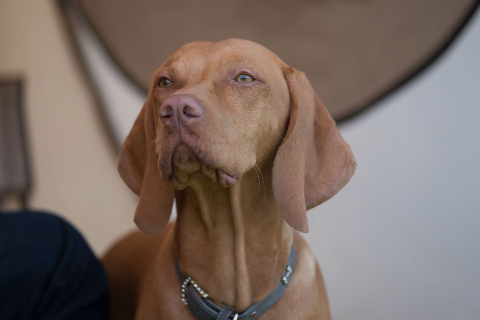 Fujifilm X-T2 - test bezlusterkowego profesjonalisty 144