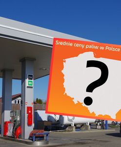 Tu paliwo jest najtańsze. Sprawdziliśmy ceny benzyny, gazu i diesla