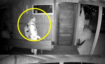 Gorzów: Chodził nocą po działkach na Manhattanie. Nagrała go kamera