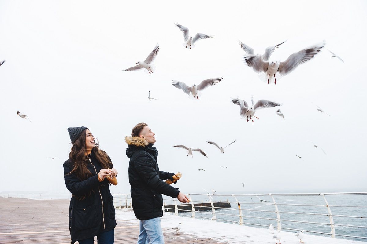 Is your love built to last? The simple Bird Test might tell