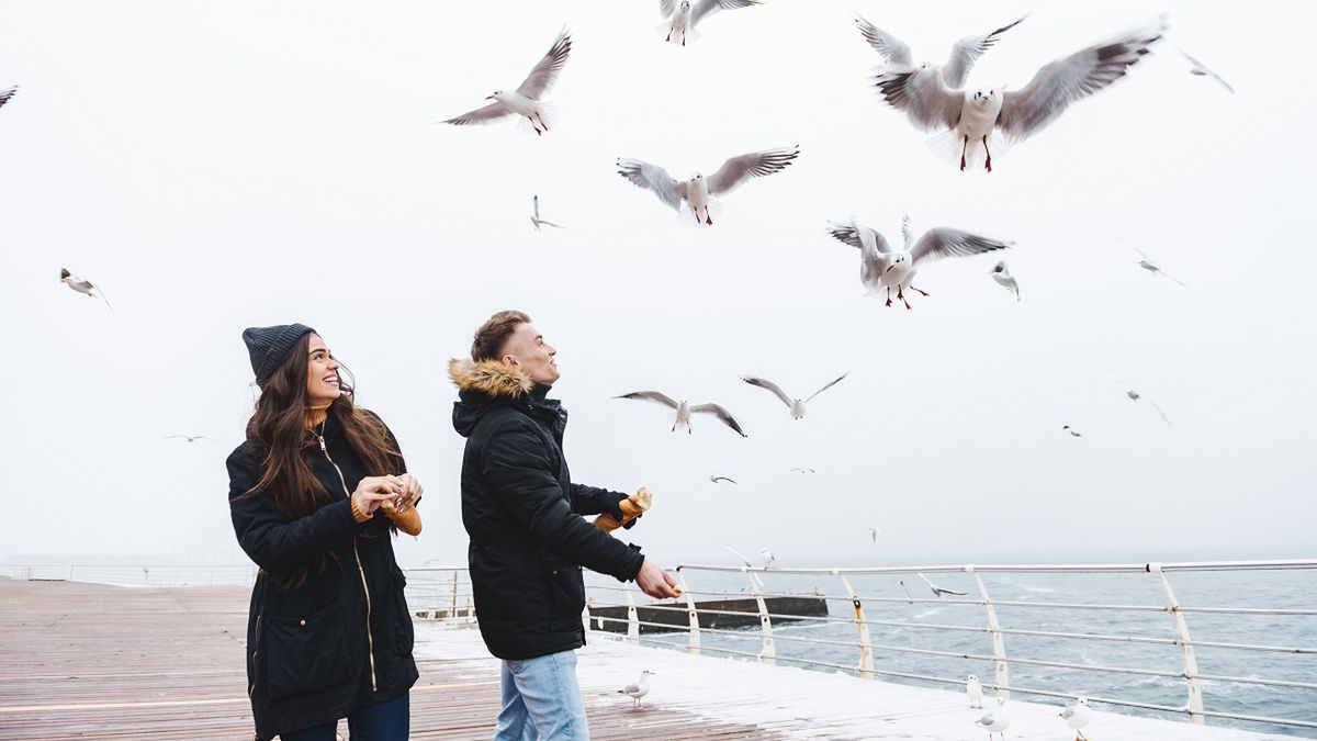 Test ptaka wskaże, czy wasz związek na szanse przetrwać.