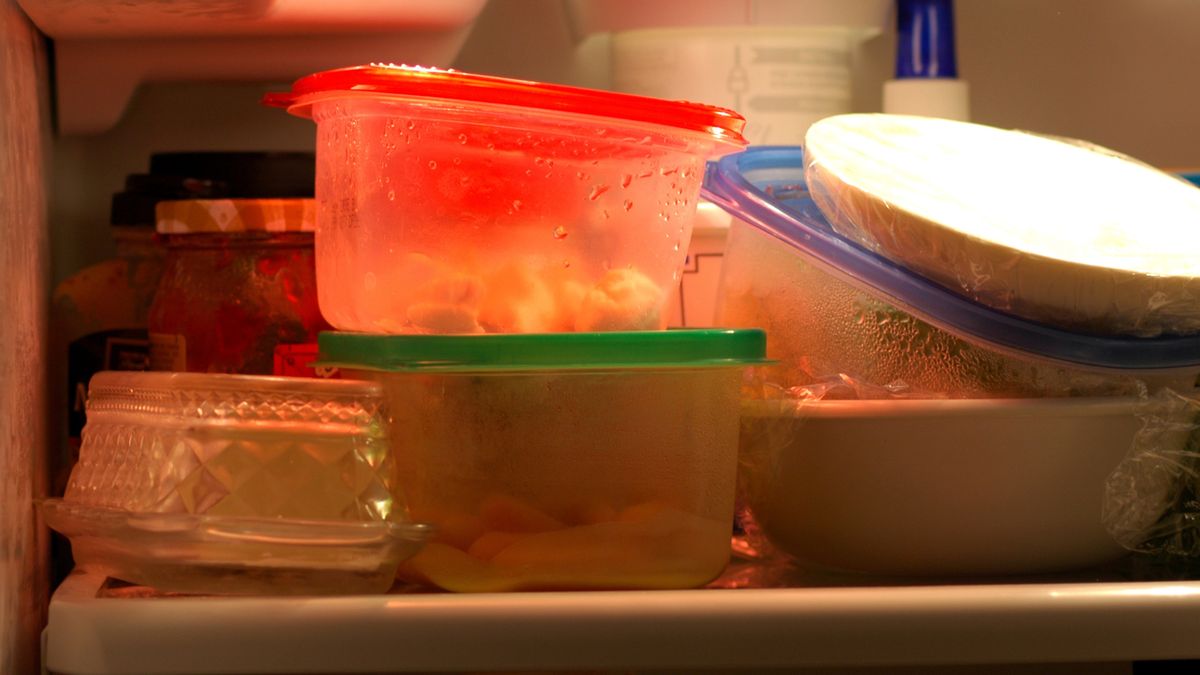 Czy można wkładać ciepłe jedzenie do lodówki?