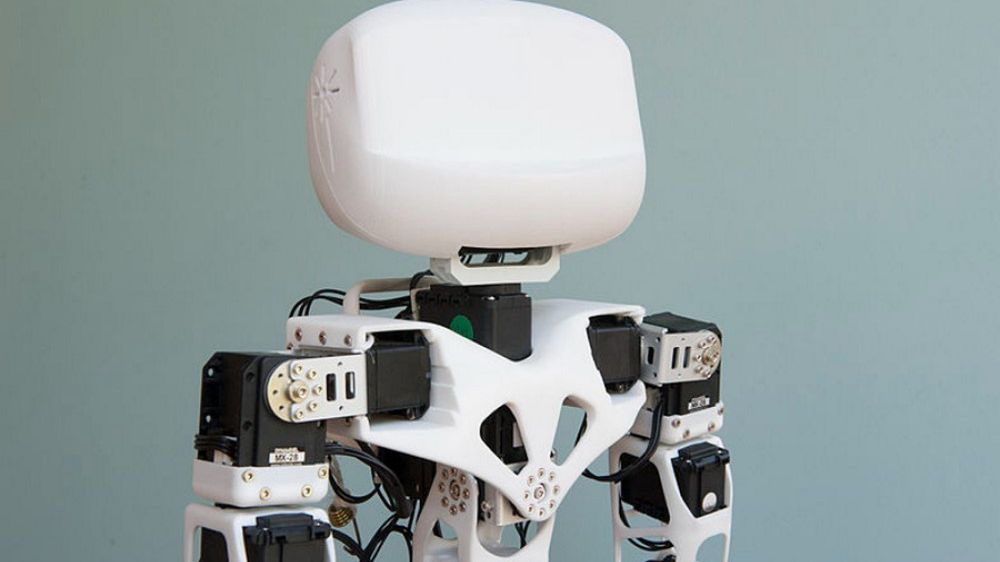 Robot, który porusza się dzięki mięśniom myszy