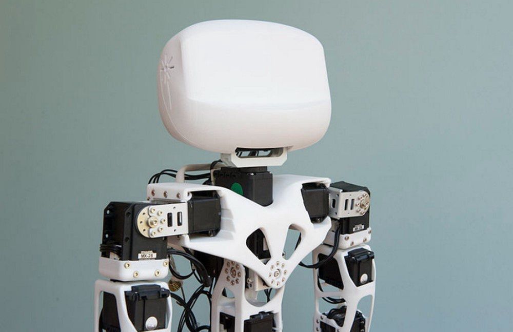 Robot, który porusza się dzięki mięśniom myszy