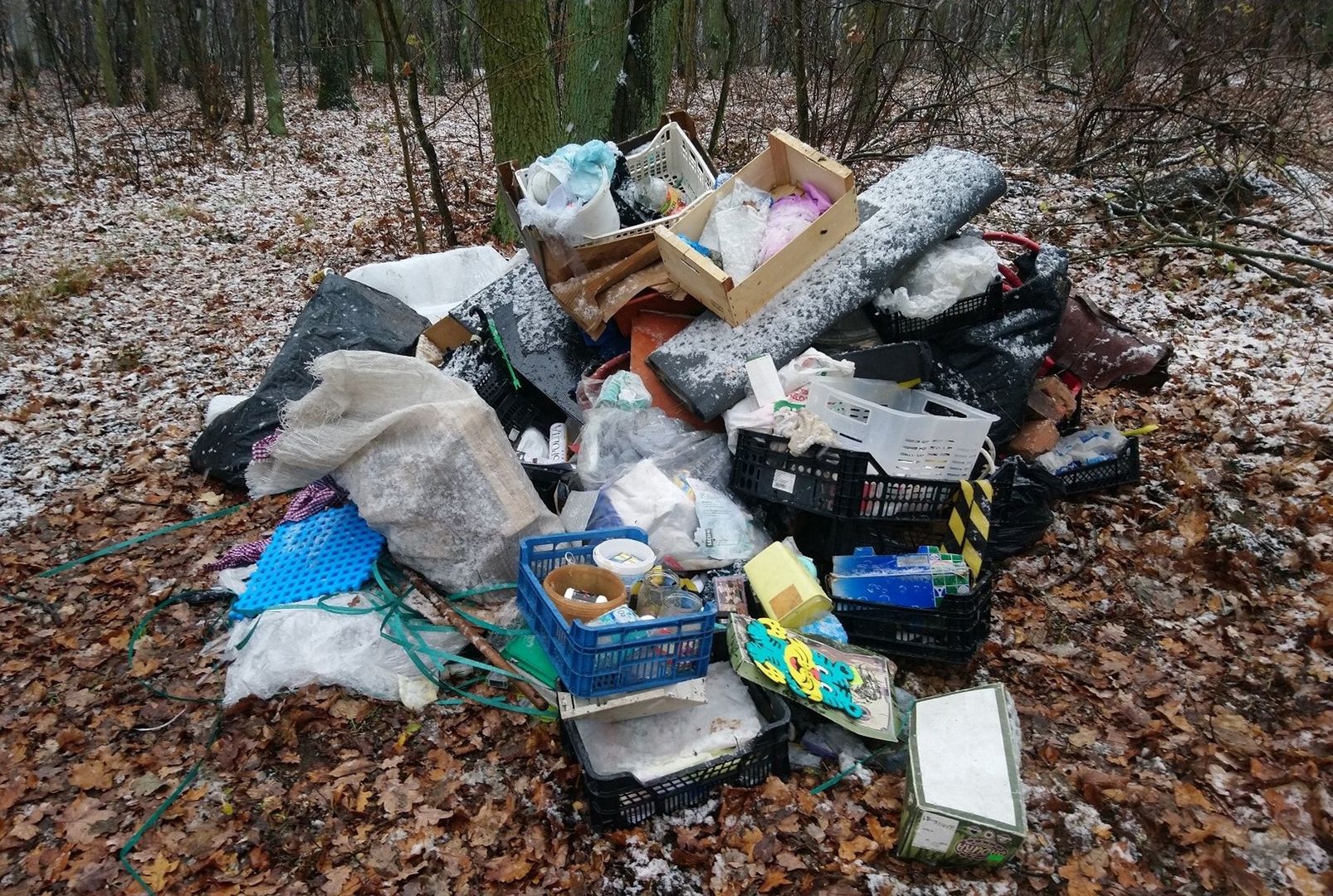 Strażniczka zajrzała do worka, a tam... Śmieciarz szybko tego pożałował