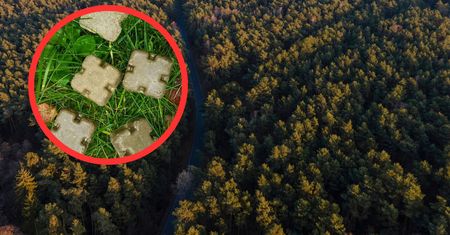 Brązowe kostki w lesie. Wydano komunikat. Lepiej nie dotykaj