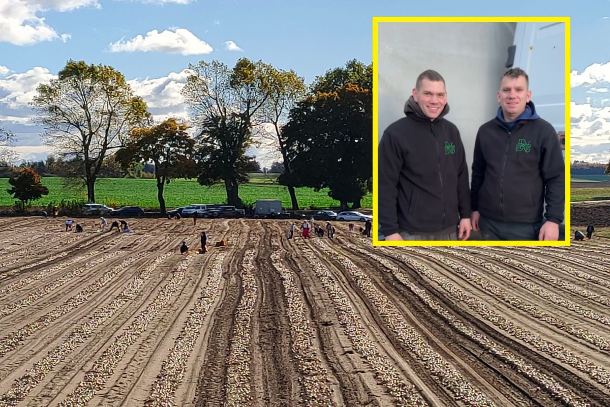 Rolnicy zabrali głos po samozbiorach. "Dziękujemy każdej osobie"