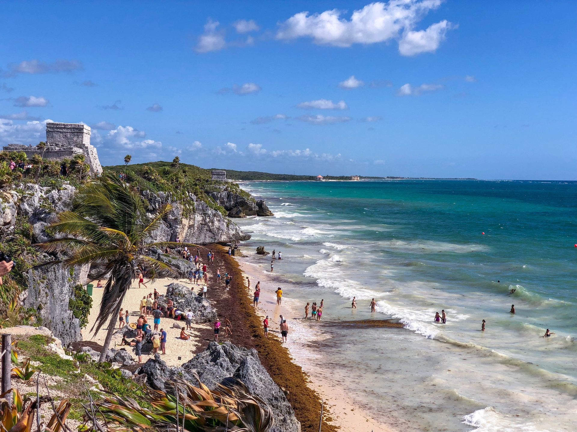 Plaża w Tulum pokryta glonami sargassum