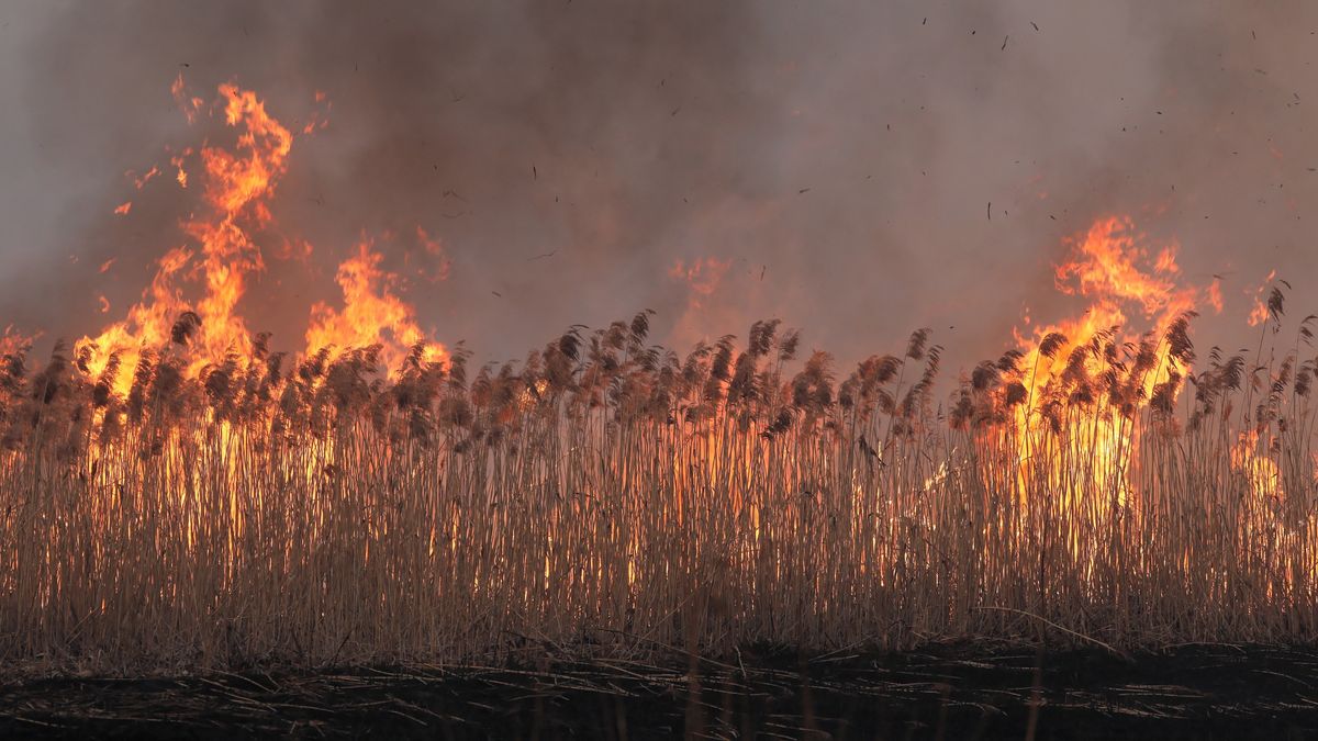 Najnowsze informacje o pożarze Biebrzańskiego Parku Narodowego