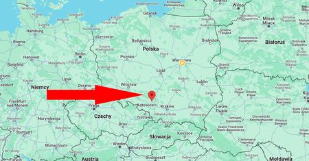 Odkrycie na Śląsku to "wydarzenie na skalę światową". Szczątki pochodzą sprzed mln lat