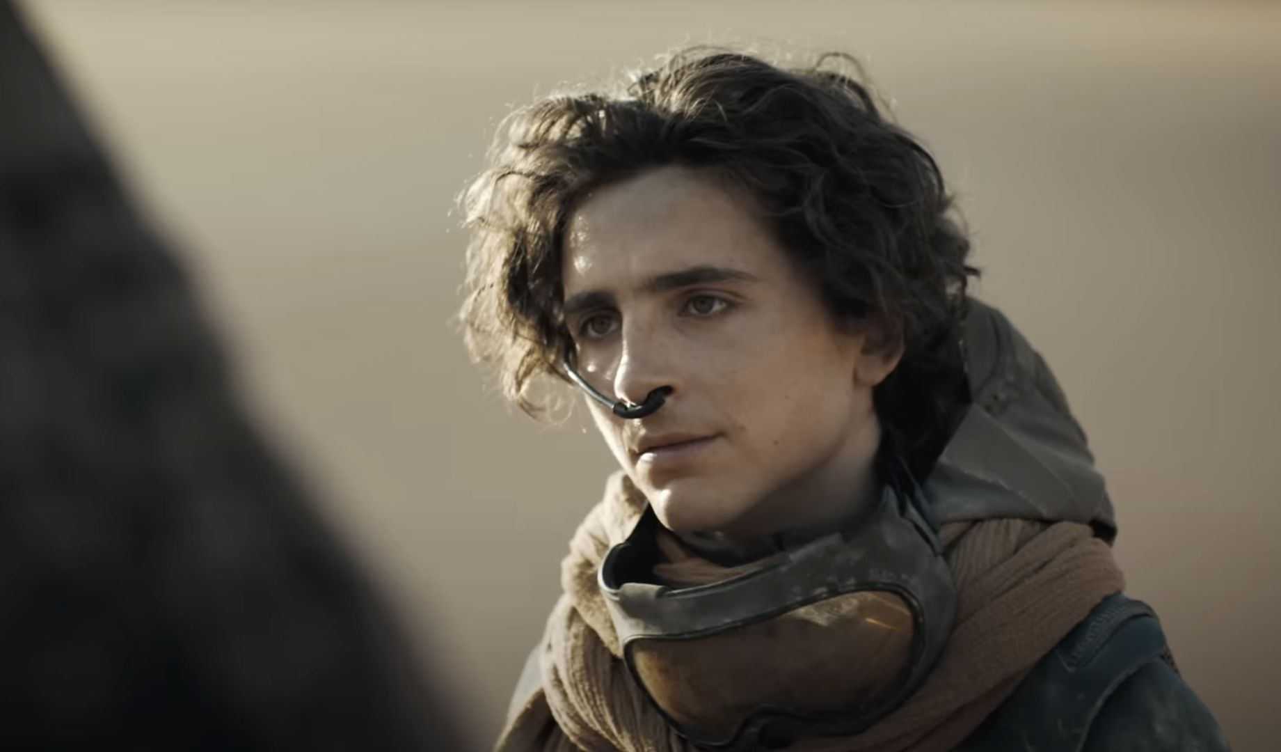 Timothée Chalamet