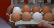 Nie wierz w ten mit. To nie od tego zależy kolor jajek