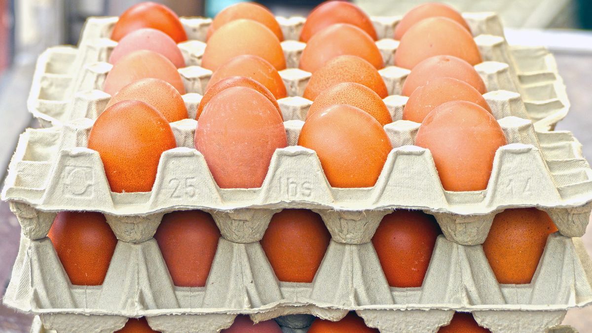 To jest jakieś nieporozumienie! Tyle teraz kosztują jaja