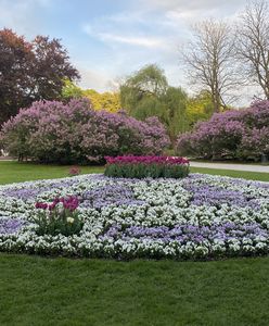 Warszawa. Pojedynek na rabaty. Mokotowski konkurs "Moje kolorowe podwórko"
