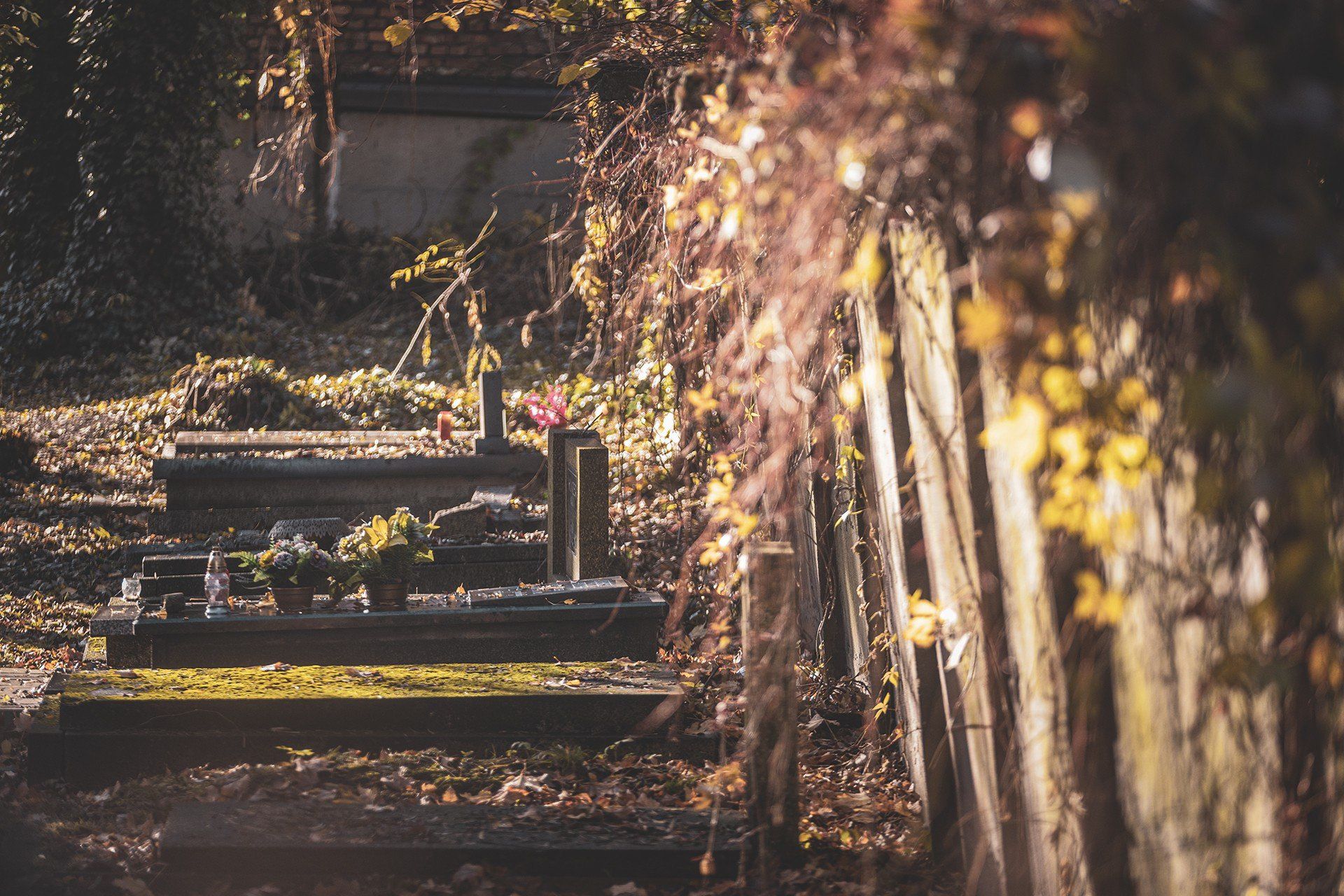 Cmentarz żydowski w Katowicach