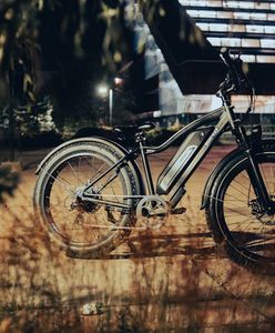 Miejski rower elektryczny idealny dla Ciebie