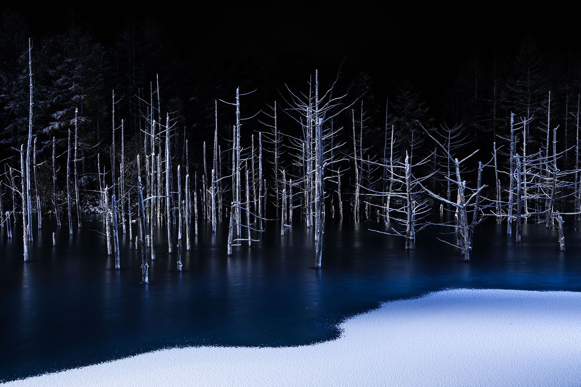 Najlepsze zdjęcia z kategorii otwartej konkursu Sony World Photography Awards 2017 7