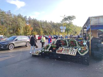 Niedziela handlowa 13 grudnia. Czy jutro uda nam się zrobić zakupy?