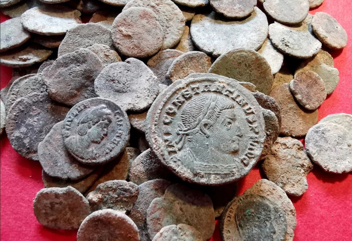 Borsuk szukał pożywienia. Przypadkowo odkopał antyczne monety - Borsuk odkopał monety sprzed 1800 lat